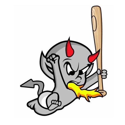 District Logo